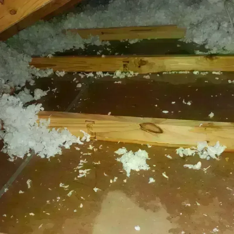 Attic Water Damage in New Paris, OH