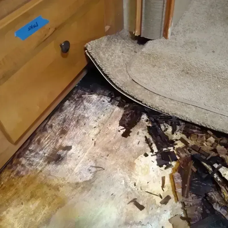 Best Wood Floor Water Damage Service in New Paris, OH